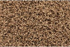 Covington Luxury - Carpet Remnant