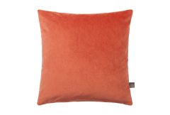 Richelle - Coral